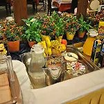 Arahova Inn Hotel 3* Arachova