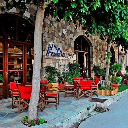 מלון Arahova Inn Hotel 3*