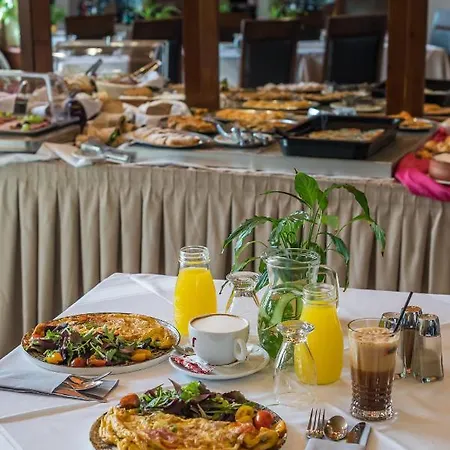 מלון Arahova Inn Hotel