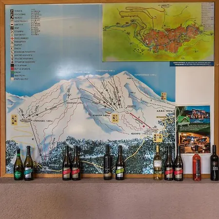 מלון Arahova Inn Hotel